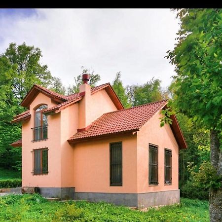 Dilijan Dream House! 3 Bedroom Amazing Villa In National Park! Exterior foto